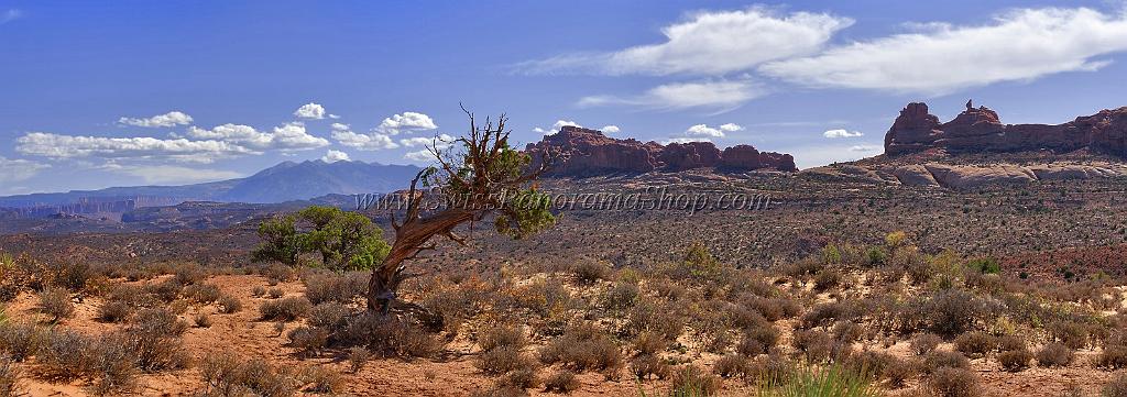 14012_10_10_2012_moab_arches_national_park_elephant_butte_utah_red_rock_formation_sand_desert_autum_fall_color_panoramic_landscape_photography_49_16481x5812.jpg
