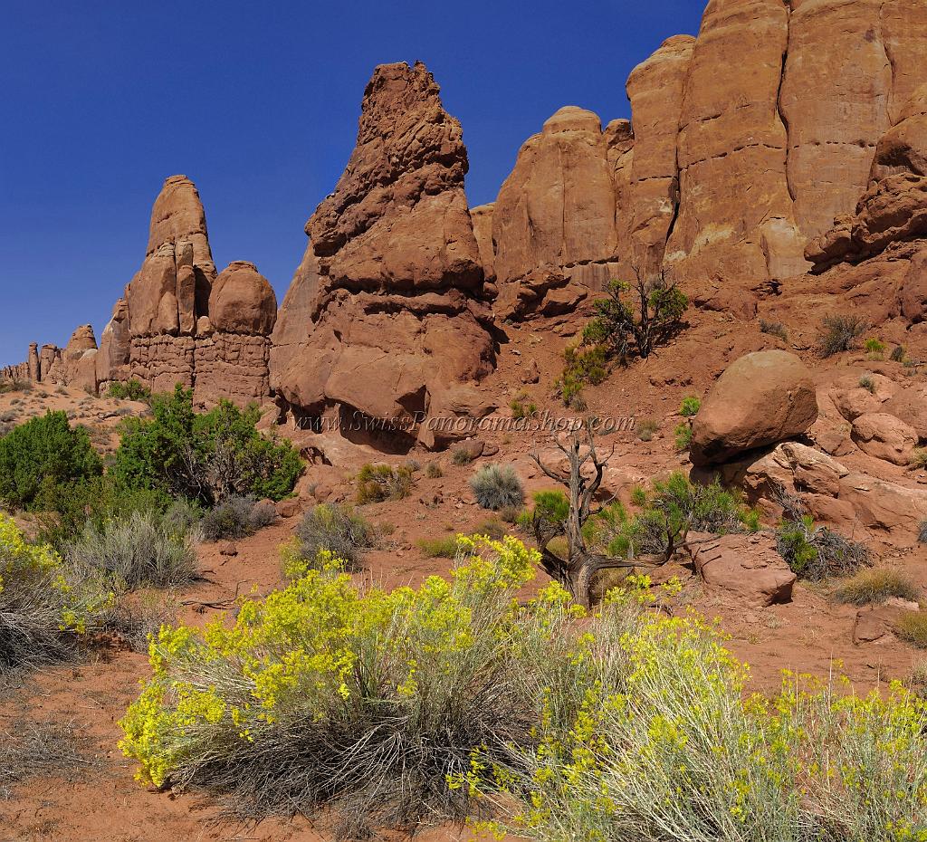 14018_10_10_2012_moab_arches_national_park_fiery_furnace_viewpoint_utah_red_rock_formation_sand_desert_autum_fall_color_panoramic_landscape_photography_55_11631x10560.jpg