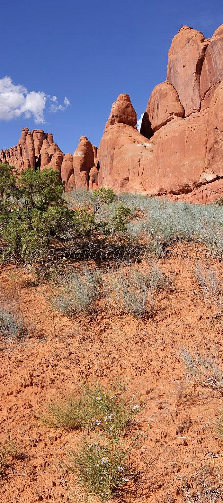 8145_04_10_2010_moab_arches_national_park_fiery_furnace_sand_dune_arch_utah_red_rock_formation_sand_desert_autum_fall_color_panoramic_landscape_photography_68_4316x9719.jpg