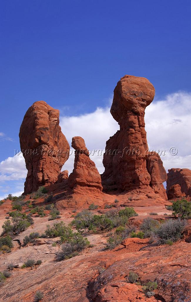 8173_04_10_2010_moab_arches_national_park_garden_of_eden_utah_red_rock_formation_sand_desert_autum_fall_color_panoramic_landscape_photography_58_4136x6519.jpg
