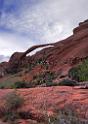 8092_03_10_2010_moab_arches_national_park_partition_arch_utah_red_rock_formation_sand_desert_autum_fall_color_panoramic_landscape_photography_88_4280x6025