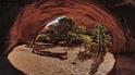 14039_10_10_2012_moab_arches_national_park_devils_garden_navajo_arch_utah_red_rock_formation_sand_desert_color_panoramic_landscape_photography_77_12743x7138