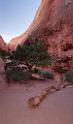 8057_03_10_2010_moab_arches_national_park_navajo_arch_utah_red_rock_formation_sand_desert_autum_fall_color_panoramic_landscape_photography_80_4276x7269