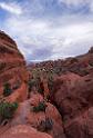 8063_03_10_2010_moab_arches_national_park_navajo_arch_utah_red_rock_formation_sand_desert_autum_fall_color_panoramic_landscape_photography_86_4499x6624