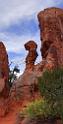8095_03_10_2010_moab_arches_national_park_partition_arch_utah_red_rock_formation_sand_desert_autum_fall_color_panoramic_landscape_photography_91_4267x8431
