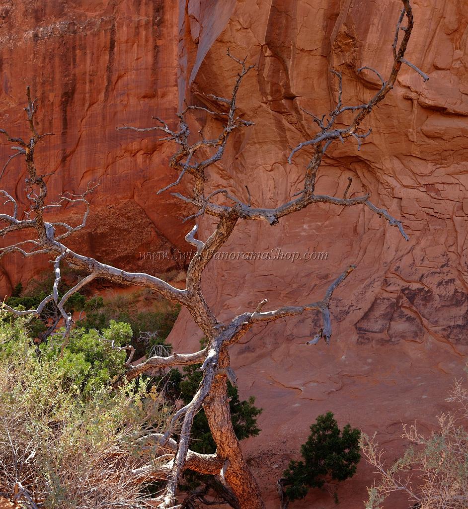 14026_10_10_2012_moab_arches_national_park_devils_garden_pine_tree_arch_utah_red_rock_formation_sand_desert_color_panoramic_landscape_photography_63_6695x7276.jpg