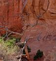 14026_10_10_2012_moab_arches_national_park_devils_garden_pine_tree_arch_utah_red_rock_formation_sand_desert_color_panoramic_landscape_photography_63_6695x7276