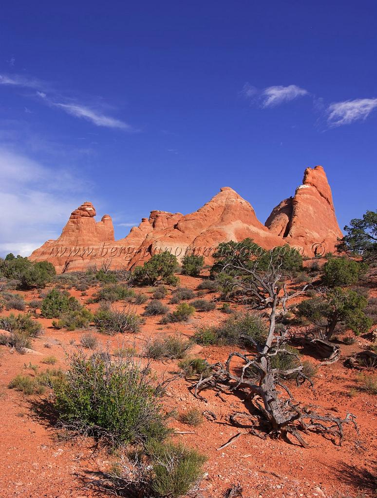 8202_04_10_2010_moab_arches_national_park_skyline_arch_utah_red_rock_formation_sand_desert_autum_fall_color_panoramic_landscape_photography_93_4402x5817.jpg