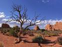 8224_04_10_2010_moab_arches_national_park_tree_skyline_arch_utah_red_rock_formation_sand_desert_autum_fall_color_panoramic_landscape_photography_95_6095x4588