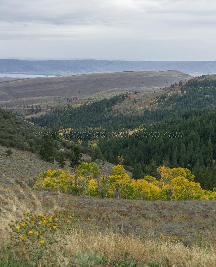 15850_21_09_2014_bear_lake_utah_autumn_color_colorful_fall_foliage_viewpoint_forest_panoramic_landscape_photography_landschaft_foto_see_aussicht_34_6998x8641.jpg