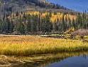 17004_11_10_2014_brighton_sky_resort_silver_lake_utah_mountain_range_autumn_color_fall_foliage_leaves_forest_tree_panoramic_view_landscape_photography_photo_9_9412x7122