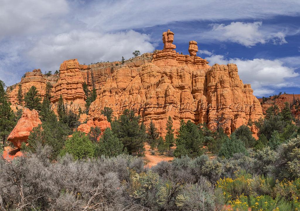 15968_29_09_2014_red_canyon_birdseye_trail_utah_autumn_red_rock_blue_sky_fall_color_colorful_tree_mountain_forest_panoramic_landscape_photography_herbst_19_17617x12387.jpg