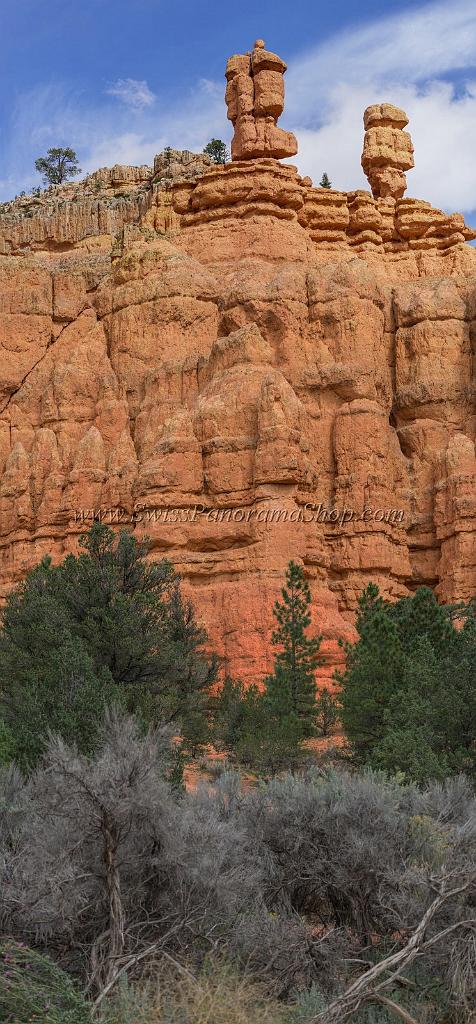 15992_29_09_2014_red_canyon_birdseye_trail_utah_autumn_red_rock_blue_sky_fall_color_colorful_tree_mountain_forest_panoramic_landscape_photography_herbst_18_6647x14304.jpg