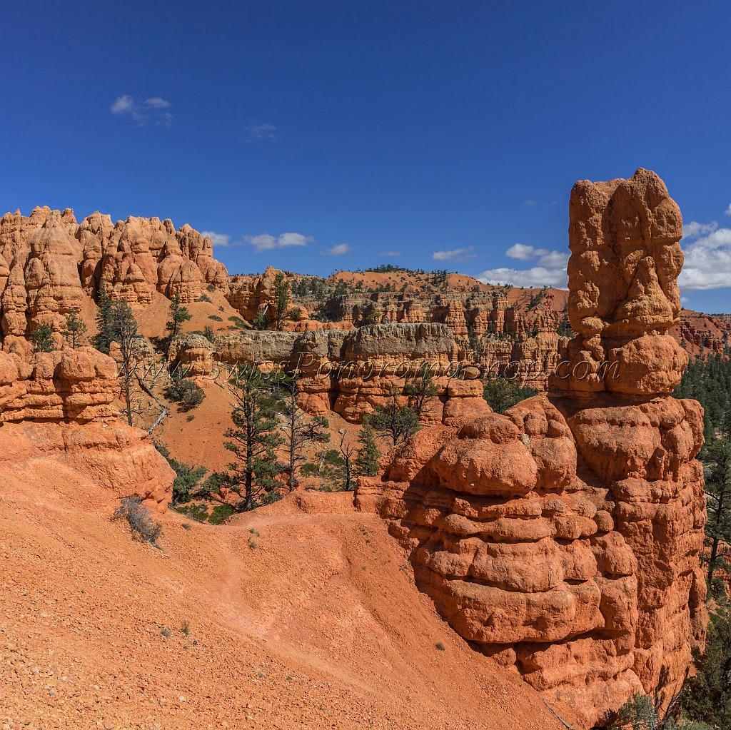 16686_01_10_2014_red_canyon_birdseye_trail_utah_autumn_red_rock_blue_sky_fall_color_colorful_tree_mountain_forest_panoramic_landscape_photography_herbst_37_6211x6208.jpg