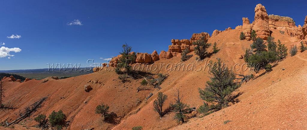 16687_01_10_2014_red_canyon_birdseye_trail_utah_autumn_red_rock_blue_sky_fall_color_colorful_tree_mountain_forest_panoramic_landscape_photography_herbst_36_15006x6385.jpg