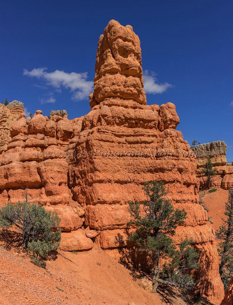 16689_01_10_2014_red_canyon_birdseye_trail_utah_autumn_red_rock_blue_sky_fall_color_colorful_tree_mountain_forest_panoramic_landscape_photography_herbst_34_6949x9091.jpg