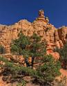 16677_01_10_2014_red_canyon_birdseye_trail_utah_autumn_red_rock_blue_sky_fall_color_colorful_tree_mountain_forest_panoramic_landscape_photography_herbst_6_7096x9060