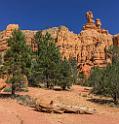 16678_01_10_2014_red_canyon_birdseye_trail_utah_autumn_red_rock_blue_sky_fall_color_colorful_tree_mountain_forest_panoramic_landscape_photography_herbst_45_6773x7076