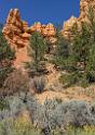 16679_01_10_2014_red_canyon_birdseye_trail_utah_autumn_red_rock_blue_sky_fall_color_colorful_tree_mountain_forest_panoramic_landscape_photography_herbst_44_6571x9290