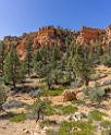 16681_01_10_2014_red_canyon_birdseye_trail_utah_autumn_red_rock_blue_sky_fall_color_colorful_tree_mountain_forest_panoramic_landscape_photography_herbst_42_6117x7421