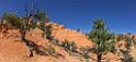 16684_01_10_2014_red_canyon_birdseye_trail_utah_autumn_red_rock_blue_sky_fall_color_colorful_tree_mountain_forest_panoramic_landscape_photography_herbst_39_14489x6660