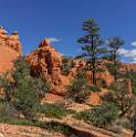16690_01_10_2014_red_canyon_birdseye_trail_utah_autumn_red_rock_blue_sky_fall_color_colorful_tree_mountain_forest_panoramic_landscape_photography_herbst_33_6738x6806