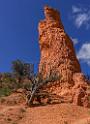 16691_01_10_2014_red_canyon_birdseye_trail_utah_autumn_red_rock_blue_sky_fall_color_colorful_tree_mountain_forest_panoramic_landscape_photography_herbst_32_6526x8950