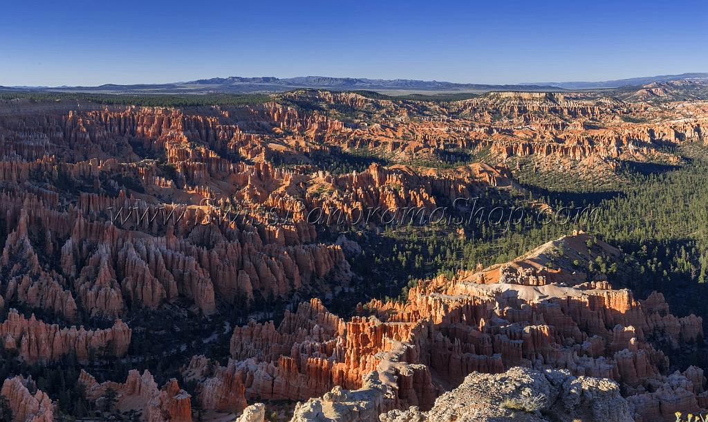 16583_02_10_2014_bryce_canyon_bryce_point_overlook_trail_utah_autumn_red_rock_blue_sky_fall_color_colorful_tree_mountain_forest_panoramic_landscape_photography_86_11308x6738.jpg