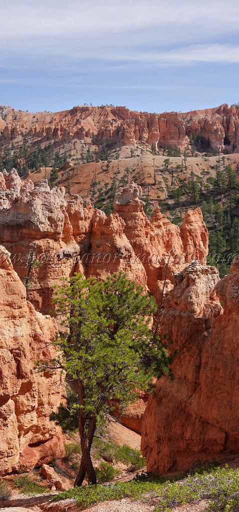 8642_09_10_2010_bryce_canyon_national_park_utah_bryce_point_navajo_loop_trail_red_rock_scenic_outlook_sky_cloud_panoramic_landscape_photography_panorama_landschaft_63_4240x9060.jpg