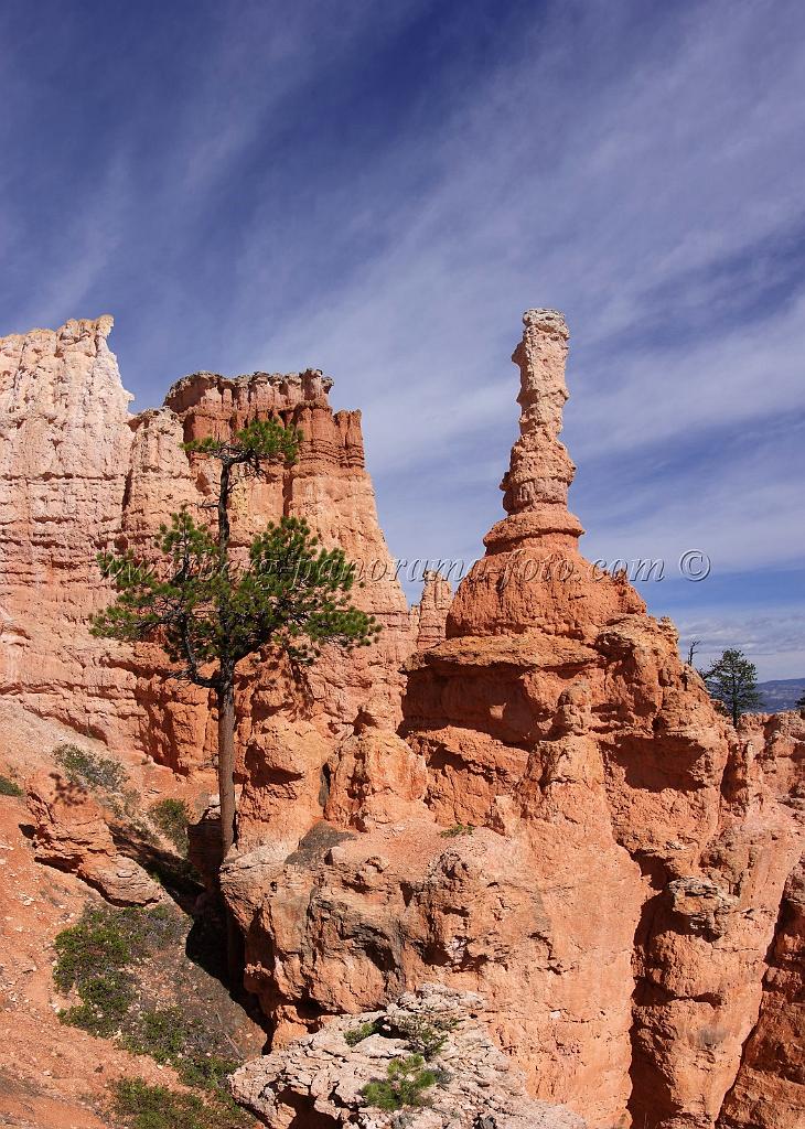 8647_09_10_2010_bryce_canyon_national_park_utah_bryce_point_navajo_loop_trail_red_rock_scenic_outlook_sky_cloud_panoramic_landscape_photography_panorama_landschaft_68_4370x6126.jpg