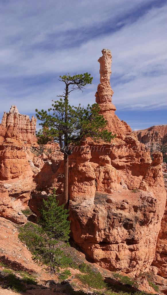 8648_09_10_2010_bryce_canyon_national_park_utah_bryce_point_navajo_loop_trail_red_rock_scenic_outlook_sky_cloud_panoramic_landscape_photography_panorama_landschaft_69_4327x7601.jpg