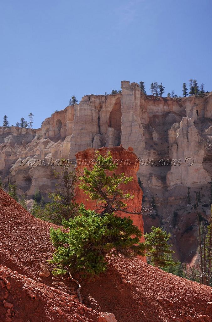 8668_09_10_2010_bryce_canyon_national_park_utah_bryce_point_peekaboo_loop_trail_red_rock_scenic_outlook_sky_cloud_panoramic_landscape_photography_panorama_landschaft_48_4213x6380.jpg