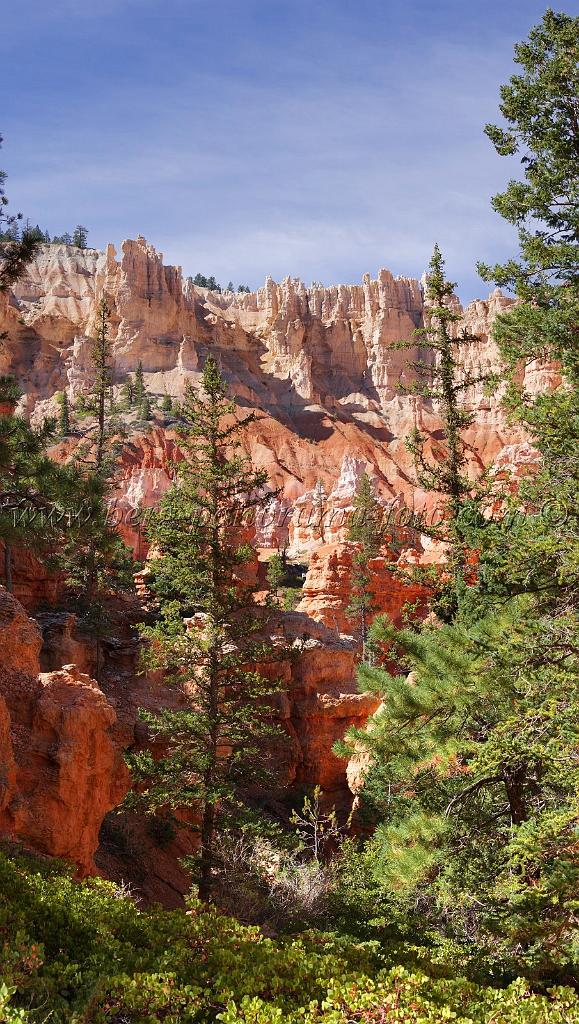 8669_09_10_2010_bryce_canyon_national_park_utah_bryce_point_peekaboo_loop_trail_red_rock_scenic_outlook_sky_cloud_panoramic_landscape_photography_panorama_landschaft_49_4301x7601.jpg