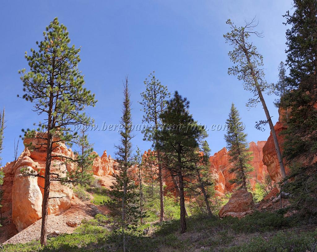 8670_09_10_2010_bryce_canyon_national_park_utah_bryce_point_peekaboo_loop_trail_red_rock_scenic_outlook_sky_cloud_panoramic_landscape_photography_panorama_landschaft_50_8563x6795.jpg