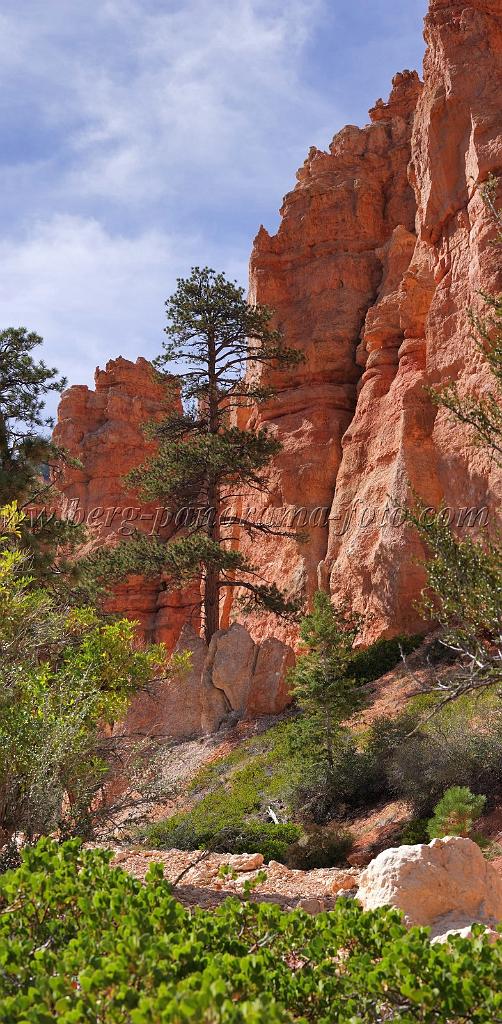 8672_09_10_2010_bryce_canyon_national_park_utah_bryce_point_peekaboo_loop_trail_red_rock_scenic_outlook_sky_cloud_panoramic_landscape_photography_panorama_landschaft_52_4226x8613.jpg