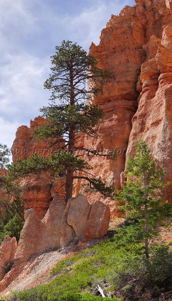 8673_09_10_2010_bryce_canyon_national_park_utah_bryce_point_peekaboo_loop_trail_red_rock_scenic_outlook_sky_cloud_panoramic_landscape_photography_panorama_landschaft_53_4314x7534.jpg
