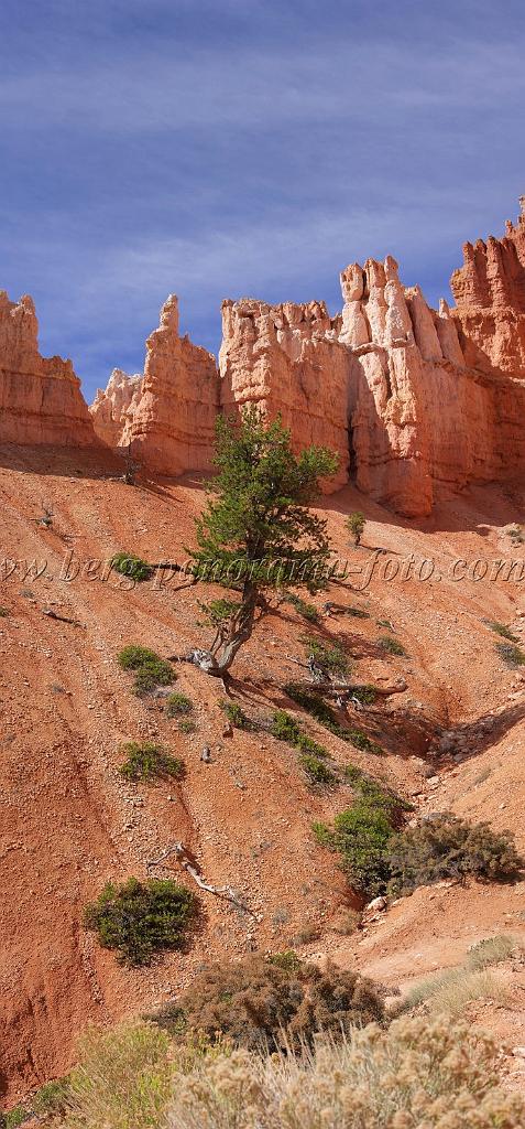 8677_09_10_2010_bryce_canyon_national_park_utah_bryce_point_peekaboo_loop_trail_red_rock_scenic_outlook_sky_cloud_panoramic_landscape_photography_panorama_landschaft_57_4193x8998.jpg
