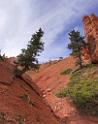 8650_09_10_2010_bryce_canyon_national_park_utah_bryce_point_navajo_loop_trail_red_rock_scenic_outlook_sky_cloud_panoramic_landscape_photography_panorama_landschaft_71_4324x5476