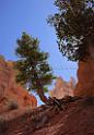 8664_09_10_2010_bryce_canyon_national_park_utah_bryce_point_peekaboo_loop_trail_red_rock_scenic_outlook_sky_cloud_panoramic_landscape_photography_panorama_landschaft_44_4212x6035