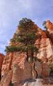 8675_09_10_2010_bryce_canyon_national_park_utah_bryce_point_peekaboo_loop_trail_red_rock_scenic_outlook_sky_cloud_panoramic_landscape_photography_panorama_landschaft_55_4241x6850