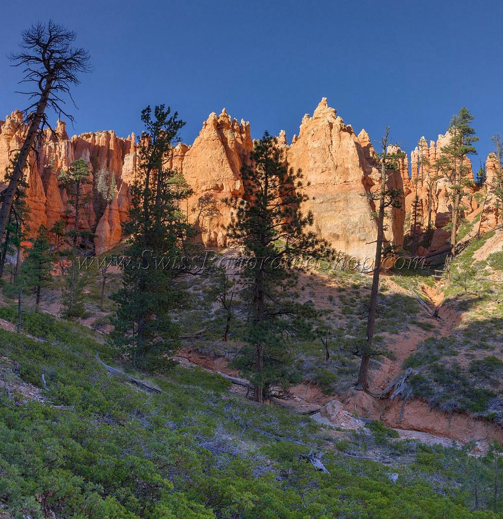 16653_01_10_2014_bryce_canyon_overlook_trail_utah_autumn_red_rock_blue_sky_fall_color_colorful_tree_mountain_forest_panoramic_landscape_photography_93_6859x7078.jpg