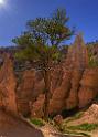 16657_01_10_2014_bryce_canyon_overlook_trail_utah_autumn_red_rock_blue_sky_fall_color_colorful_tree_mountain_forest_panoramic_landscape_photography_83_7016x9803