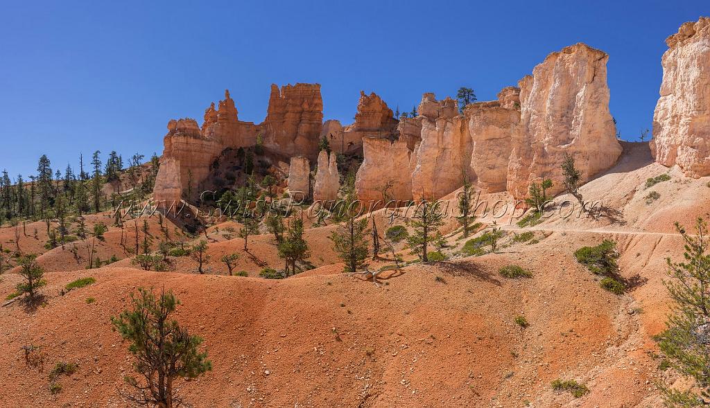 16607_02_10_2014_bryce_canyon_fairyland_loop_trail_overlook_trail_utah_autumn_red_rock_blue_sky_fall_color_colorful_tree_mountain_panoramic_landscape_photography_51_11456x6595.jpg