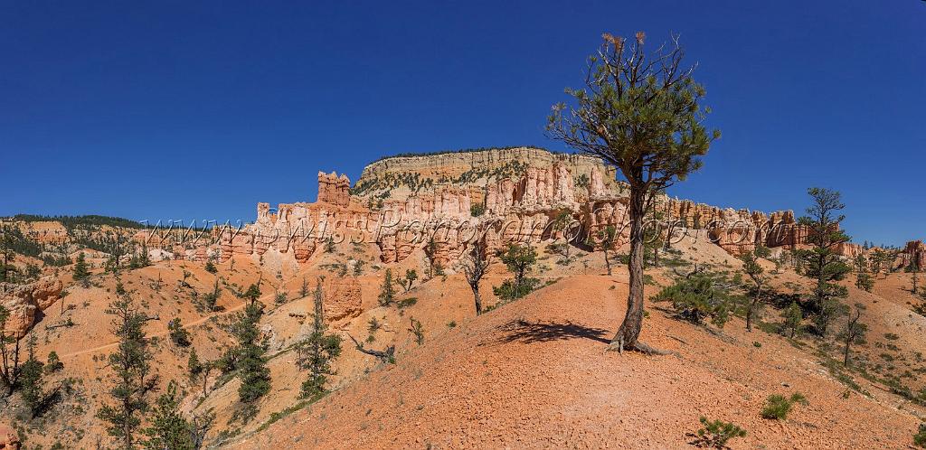 16612_02_10_2014_bryce_canyon_fairyland_loop_trail_overlook_trail_utah_autumn_red_rock_blue_sky_fall_color_colorful_tree_mountain_panoramic_landscape_photography_40_14904x7247.jpg