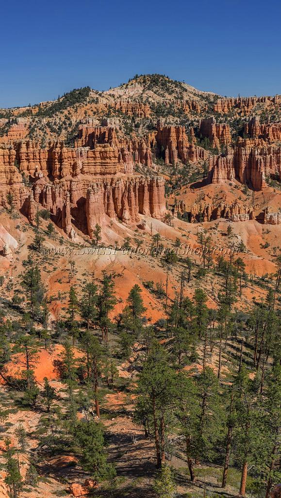 16618_02_10_2014_bryce_canyon_fairyland_loop_trail_overlook_trail_utah_autumn_red_rock_blue_sky_fall_color_colorful_tree_mountain_panoramic_landscape_photography_34_7231x12796.jpg