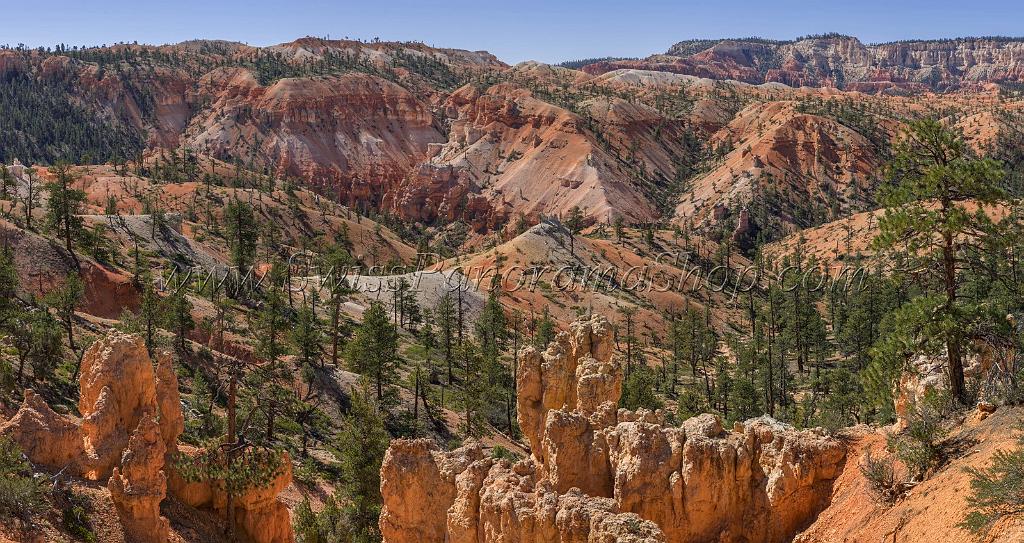16619_02_10_2014_bryce_canyon_fairyland_loop_trail_overlook_trail_utah_autumn_red_rock_blue_sky_fall_color_colorful_tree_mountain_panoramic_landscape_photography_33_14482x7675.jpg