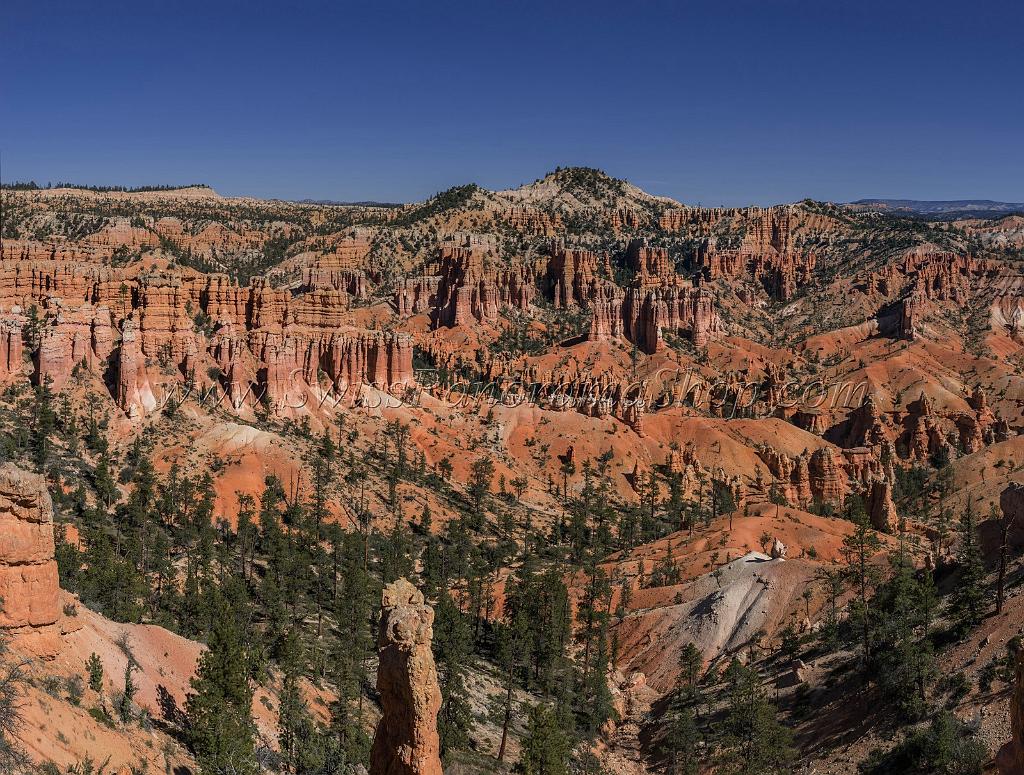 16620_02_10_2014_bryce_canyon_fairyland_loop_trail_overlook_trail_utah_autumn_red_rock_blue_sky_fall_color_colorful_tree_mountain_panoramic_landscape_photography_32_10620x8036.jpg