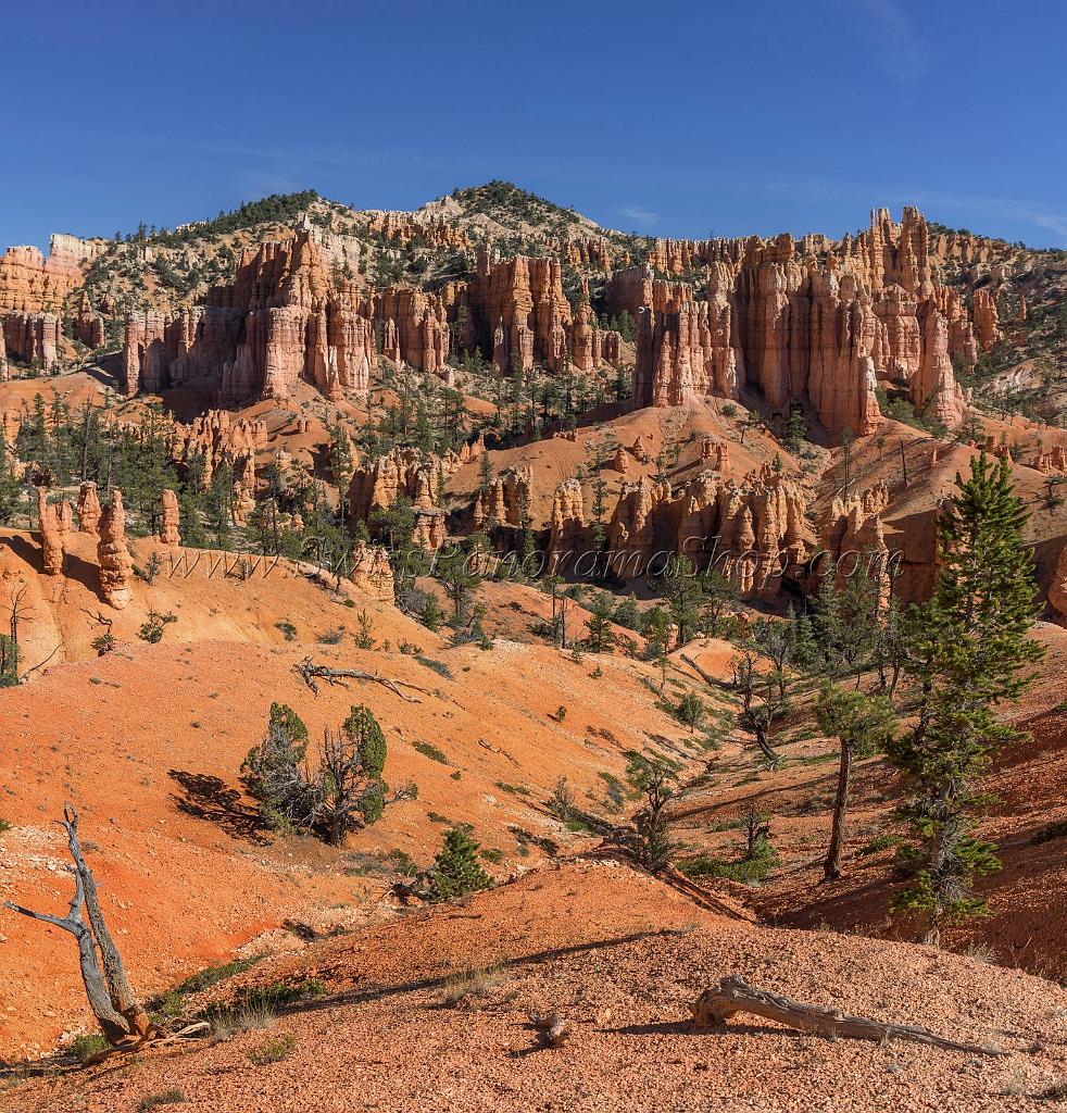 16624_02_10_2014_bryce_canyon_fairyland_loop_trail_overlook_trail_utah_autumn_red_rock_blue_sky_fall_color_colorful_tree_mountain_panoramic_landscape_photography_28_7330x7642.jpg