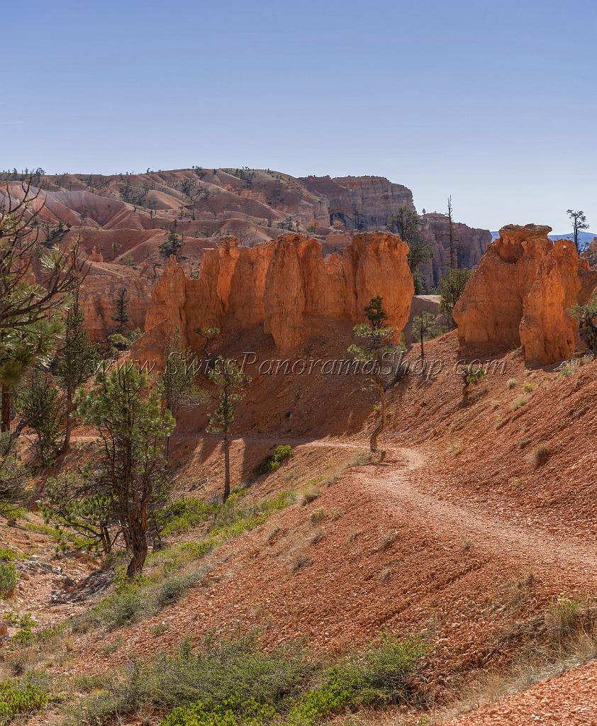 16630_02_10_2014_bryce_canyon_fairyland_loop_trail_overlook_trail_utah_autumn_red_rock_blue_sky_fall_color_colorful_tree_mountain_panoramic_landscape_photography_14_6980x8495.jpg
