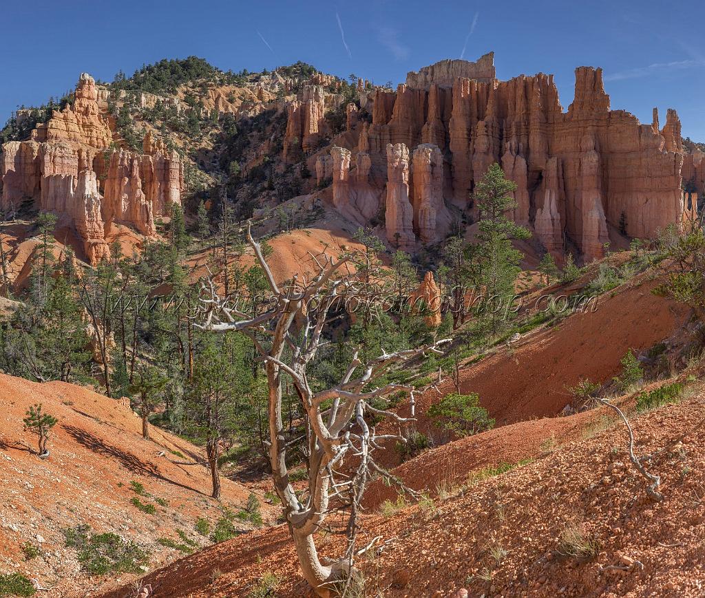 16632_02_10_2014_bryce_canyon_fairyland_loop_trail_overlook_trail_utah_autumn_red_rock_blue_sky_fall_color_colorful_tree_mountain_panoramic_landscape_photography_12_11070x9398.jpg